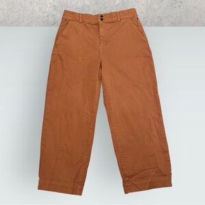 Everlane High-Rise Wide Leg Jeans in Rust Brown